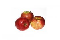 hollandse braeburn appels