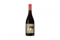 terra andina pinot noir