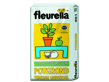 fleurella potgrond