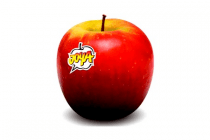 joya handappels