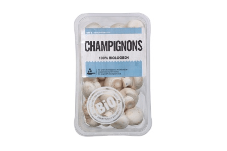 hoogvliet biologische champignons