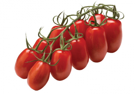 coop san marzano tomaten