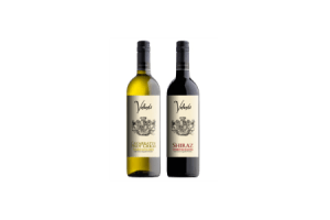 volunte wijn cattarratto pinot grigio