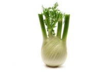 plus venkel