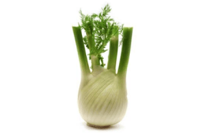 plus venkel