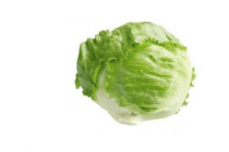 ijsbergsla