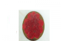 poiesz slagers carpaccio