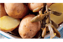 zilte aardappels bio