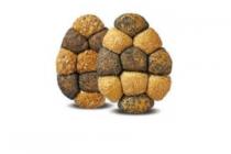 paasei breekbrood