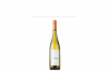 chardonnay