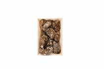 verse zeeuwse oesters