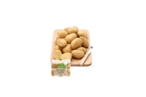 nieuwe oogst nicola aardappelen