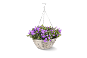 hanging basket