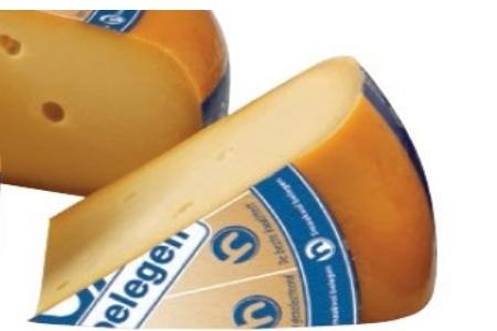 hoogvliet extra belegen kaas