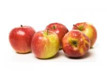jonagold appelen