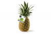 plus fairtrade ananas
