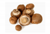 kastanje champignons