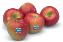 kanzi appelen