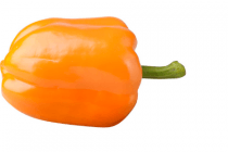 oranje paprika