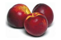 nectarines