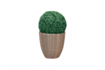 bloempot