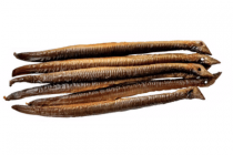 pondje paling