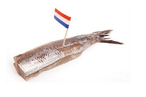 plus hollandse nieuwe met uit