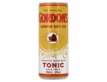 gordons london dry gin tonic