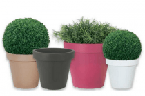 bloempot miami