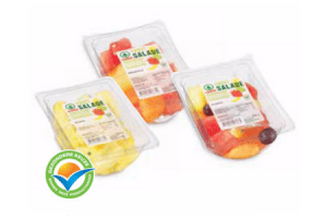 attent gesneden fruit fruitmix ananas of meloen