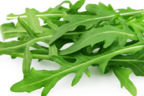 deen biologische rucola
