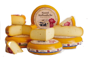 noord hollandsche stukken kaas