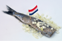 hollandse nieuwe
