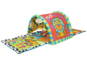 playgro zany zoo tunnel gym