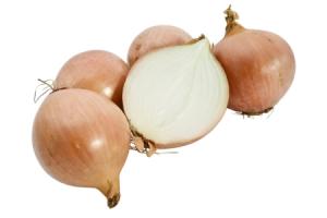 biologische uien