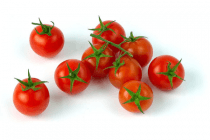 cherry tomaten
