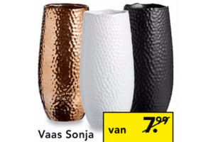 vaas sonja