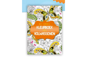 het zomerse kleurboek voor volwassenen