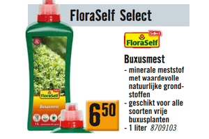 floraself buxusmest