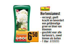 floraself hortensiamest