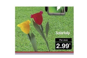 solartulp