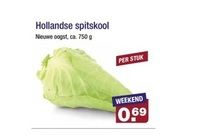 hollandse spitskool