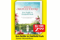 santa monterfiore   een liefde in fairfield park