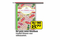 zomer kleurboek