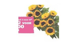 zonnebloemen