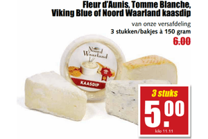 diverse kazen en kaasdip
