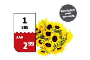 zonnebloemen