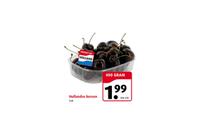 hollandse kersen