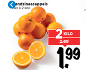 handsinaasappels