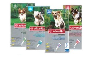 advantix antivlooien  en  tekenmiddel